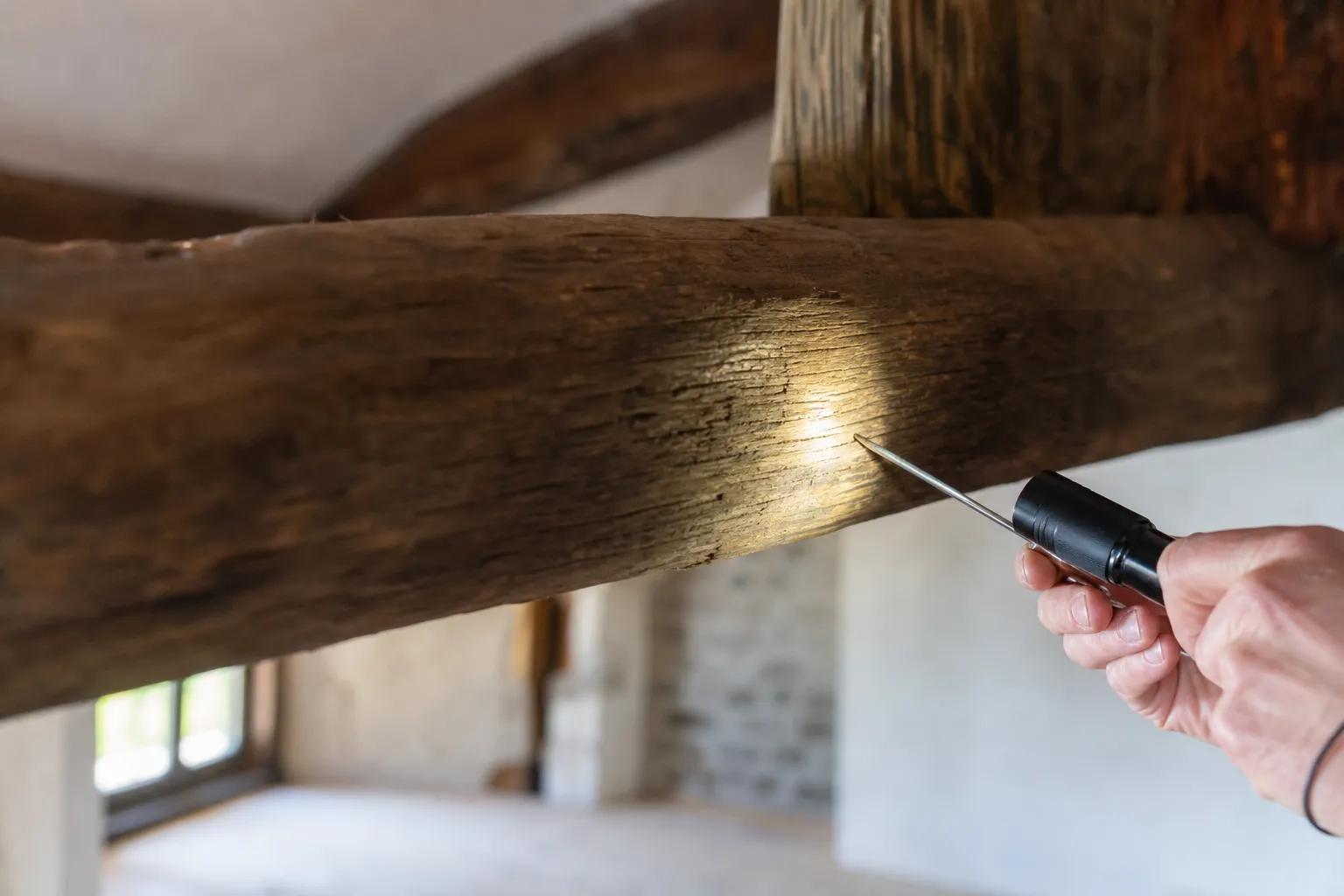 Inspection d’une poutre saine à la lampe, recherche d’indices de termites